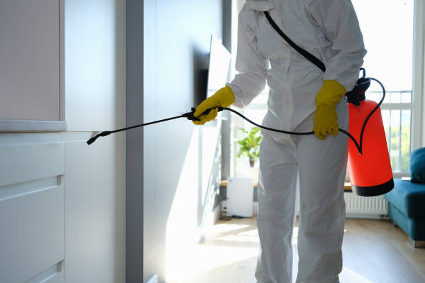 Biohazard Mold Removal in Hereford, TX